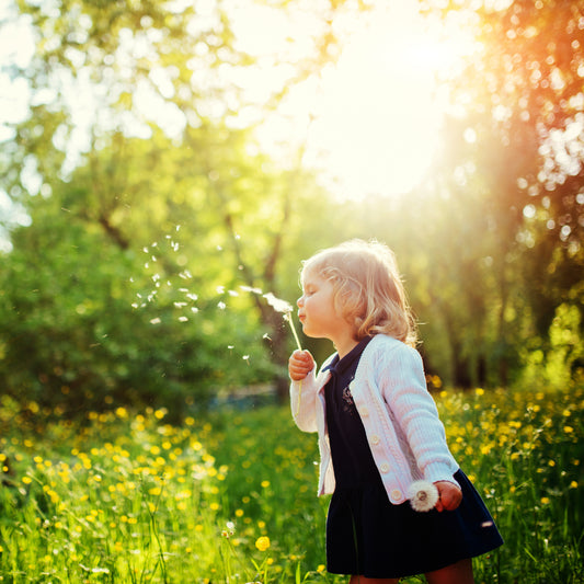 Spring Allergies